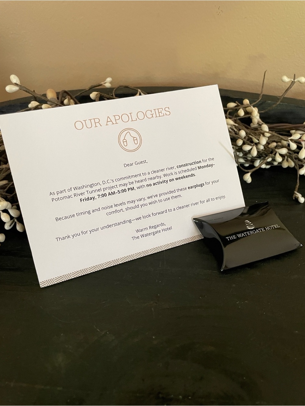 NEW The Watergate Hotel Boxed Earplugs with ‘Our Apologies’ Card